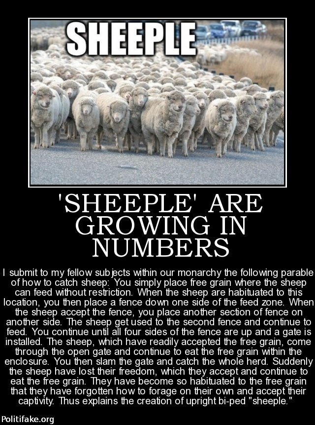 sheeple.jpg