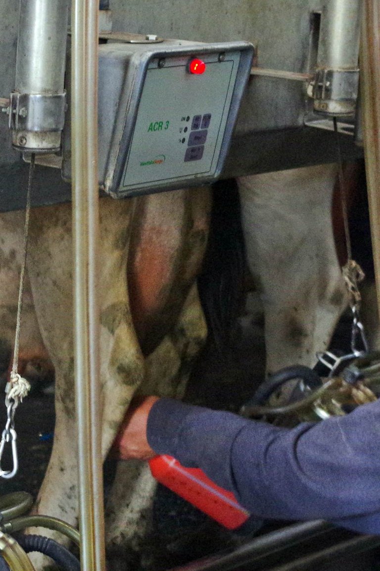 IMGP2338_1600.JPG