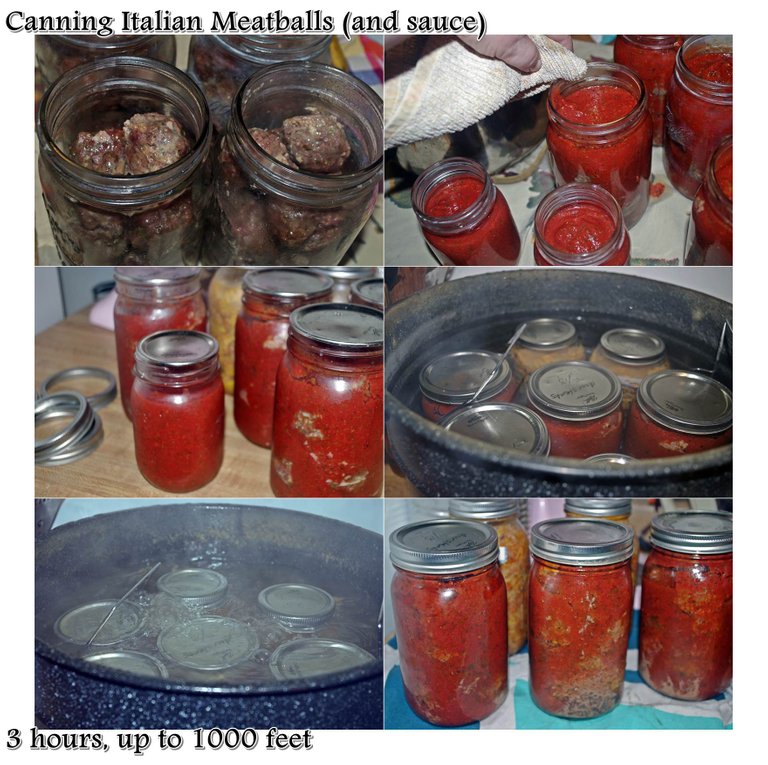 canning_meatballs.jpg