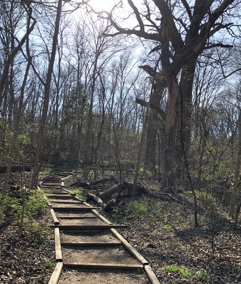Hike2.jpg
