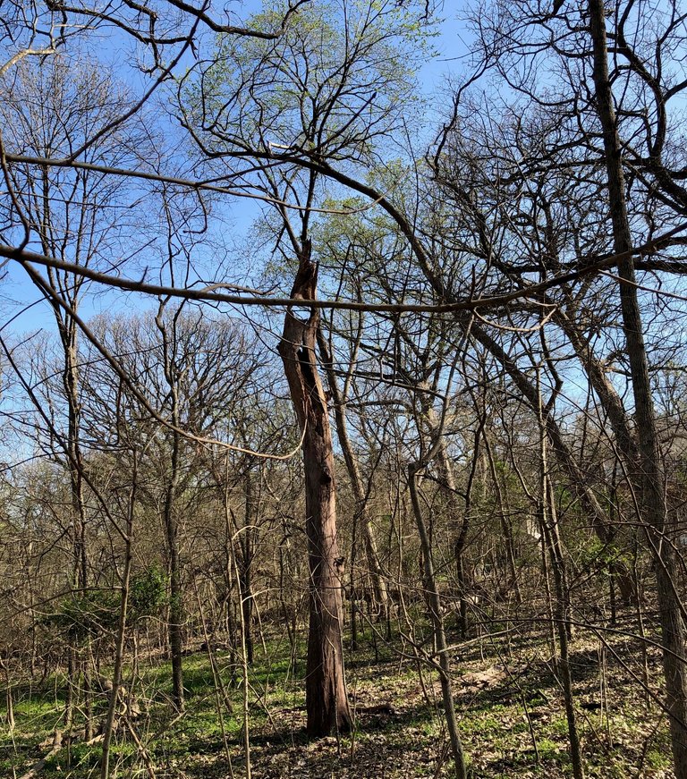Hike3.jpg