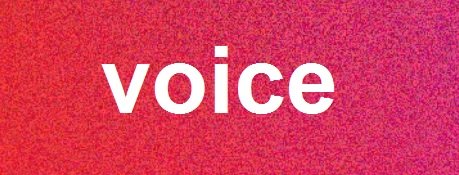voice article banner.jpg