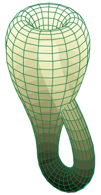 200pxKlein_bottle.svg.png