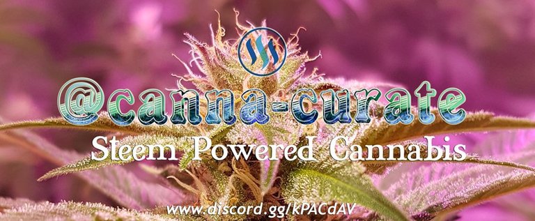 cannacuratebanner2.jpg