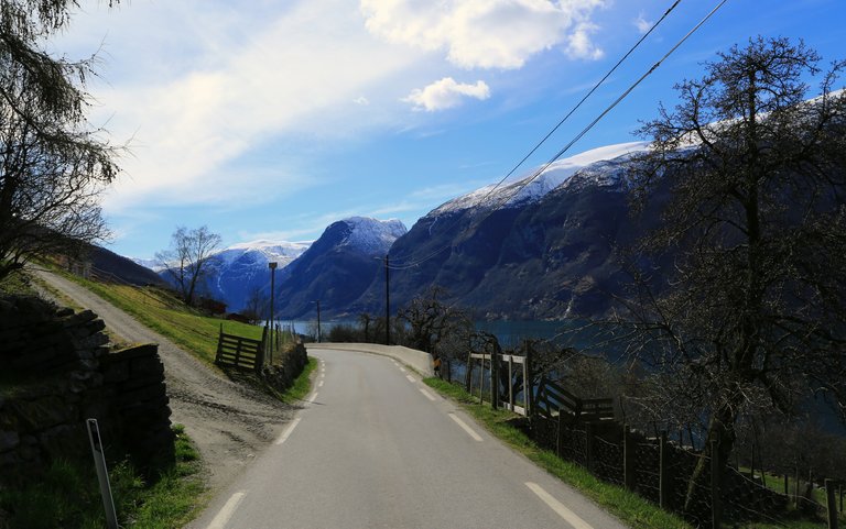 IMG_1870.JPG