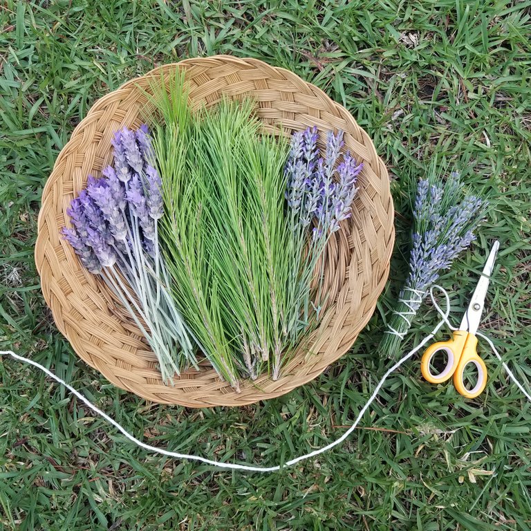 Lavender and Pine