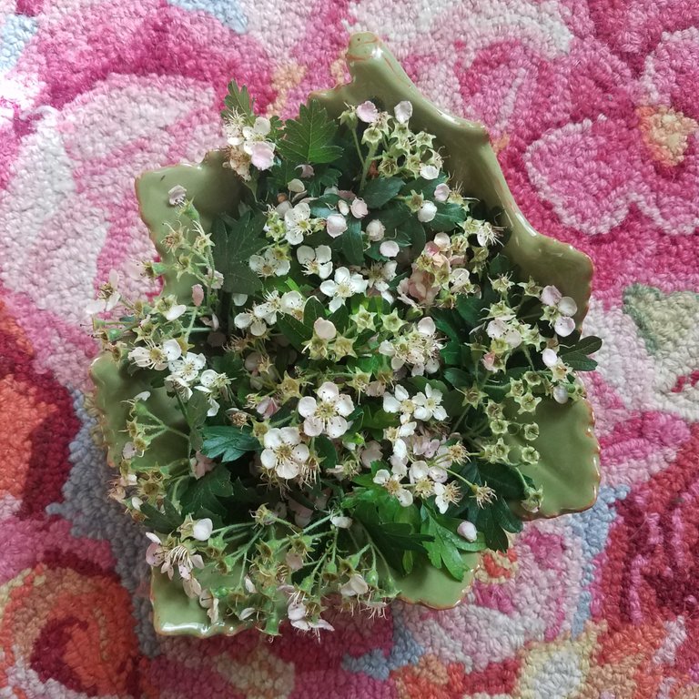 Hawthorn Flowers