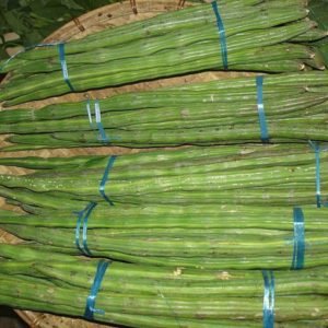 Moringa Pods