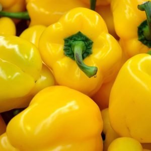 Yellow Bell Pepper