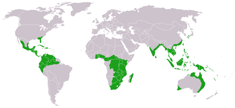 Cycads_world_distribution.png