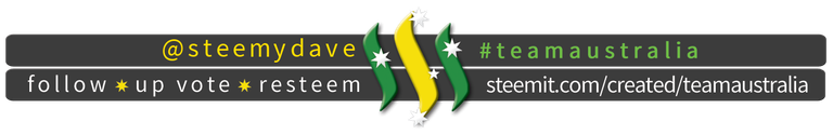 TeamAustralia Slim Banner