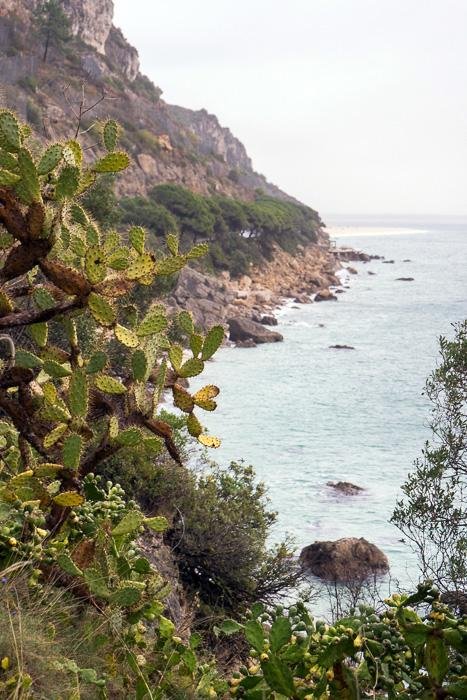 10 Serra de Arrabida DSC04462.jpg