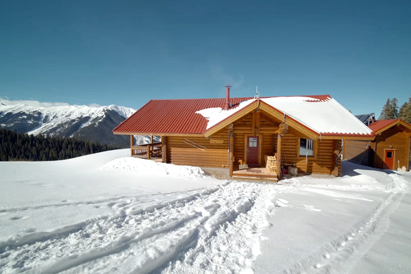 105055505-Cabin_wide_exterior.600x400.png
