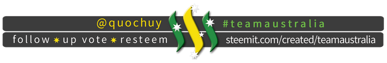 TeamAustralia Slim Banner