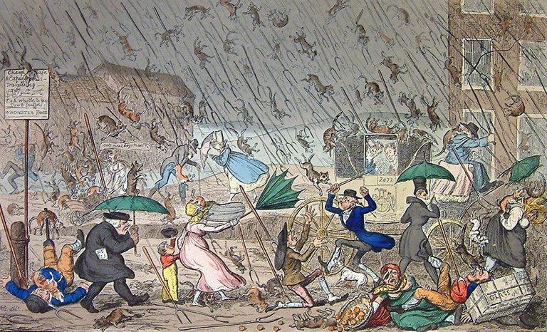 Raining cats and dogs and pitchforks.jpg