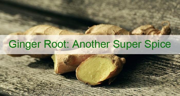 ginger-root[1].jpg