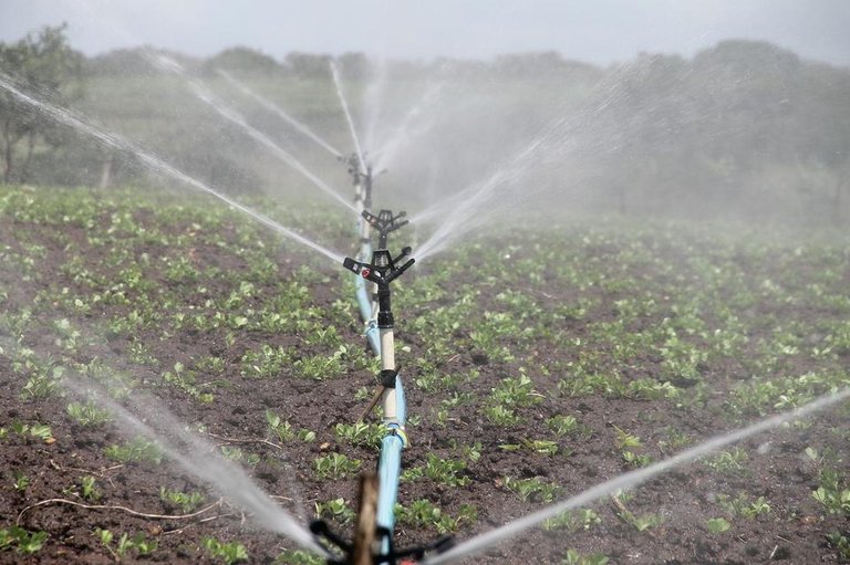 irrigation-588941_1280.jpg