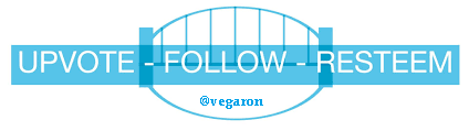 vegaron footer.png