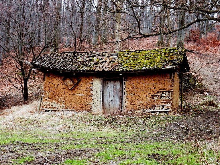 abandoned willage house.jpg