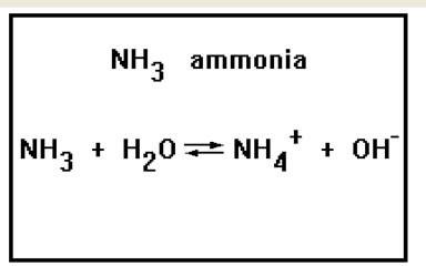 nomen05.jpg