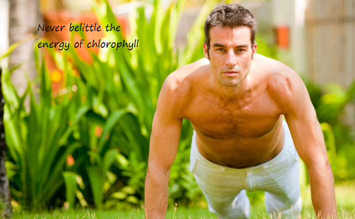 chlorophyll.png