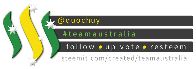 TeamAustralia Compact Banner