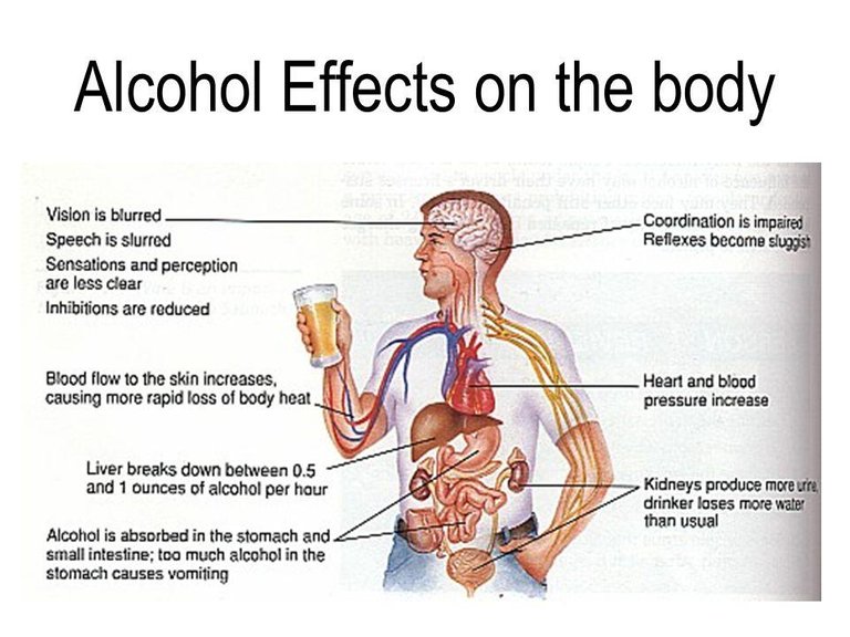 Alcohol+Effects+on+the+body.jpg