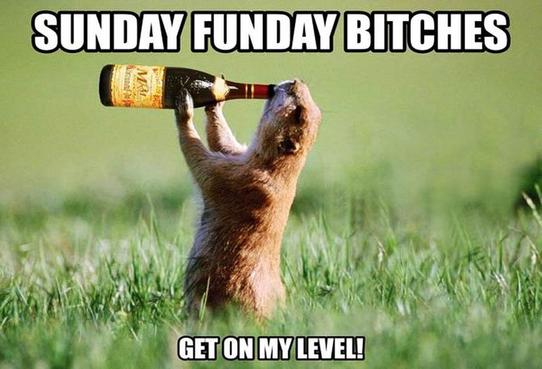Sunday Funday Bitches ....lol.jpg