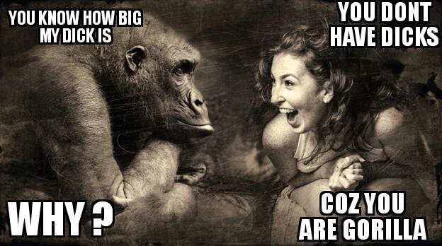 ZomboMeme 01052018233344.jpg