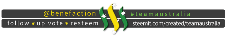 TeamAustralia Slim Banner