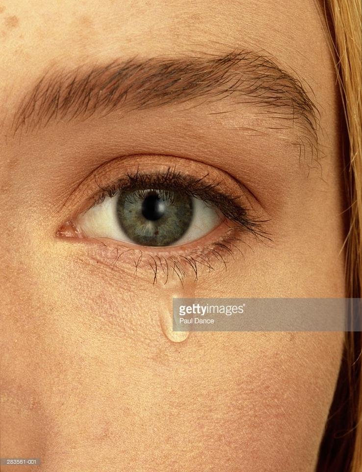 DQmSrZo9SAnX3i61XU7Wj7Vi6wfGAYusW4PwCmW36Xn3kPY.jpg
