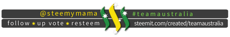 TeamAustralia Slim Banner