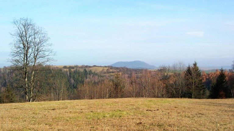 Žluticko-krajina pod Vladařem, stolovou horou.jpg