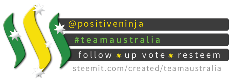 TeamAustralia Compact Banner