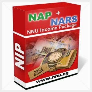 make-money-online-in-nigeria-with-nip-on-nnu-300x300.jpg