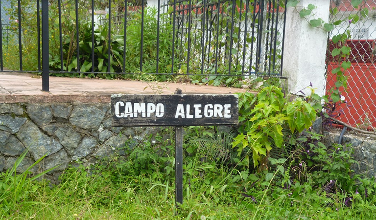 campi.PNG