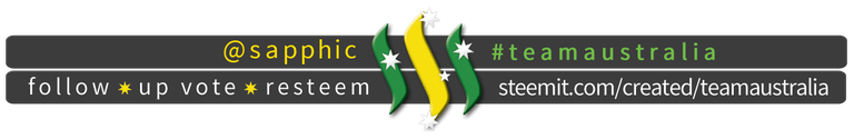 TeamAustralia Slim Banner