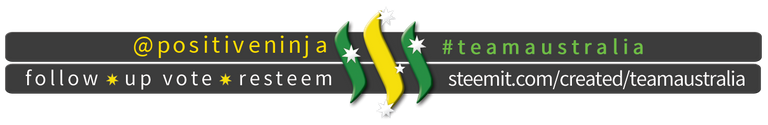 TeamAustralia Slim Banner