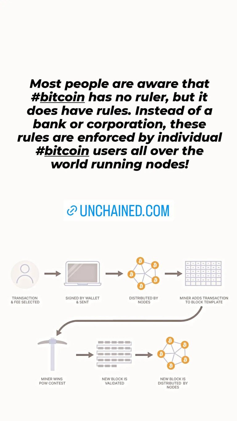 #225 Bitcoin Graphic