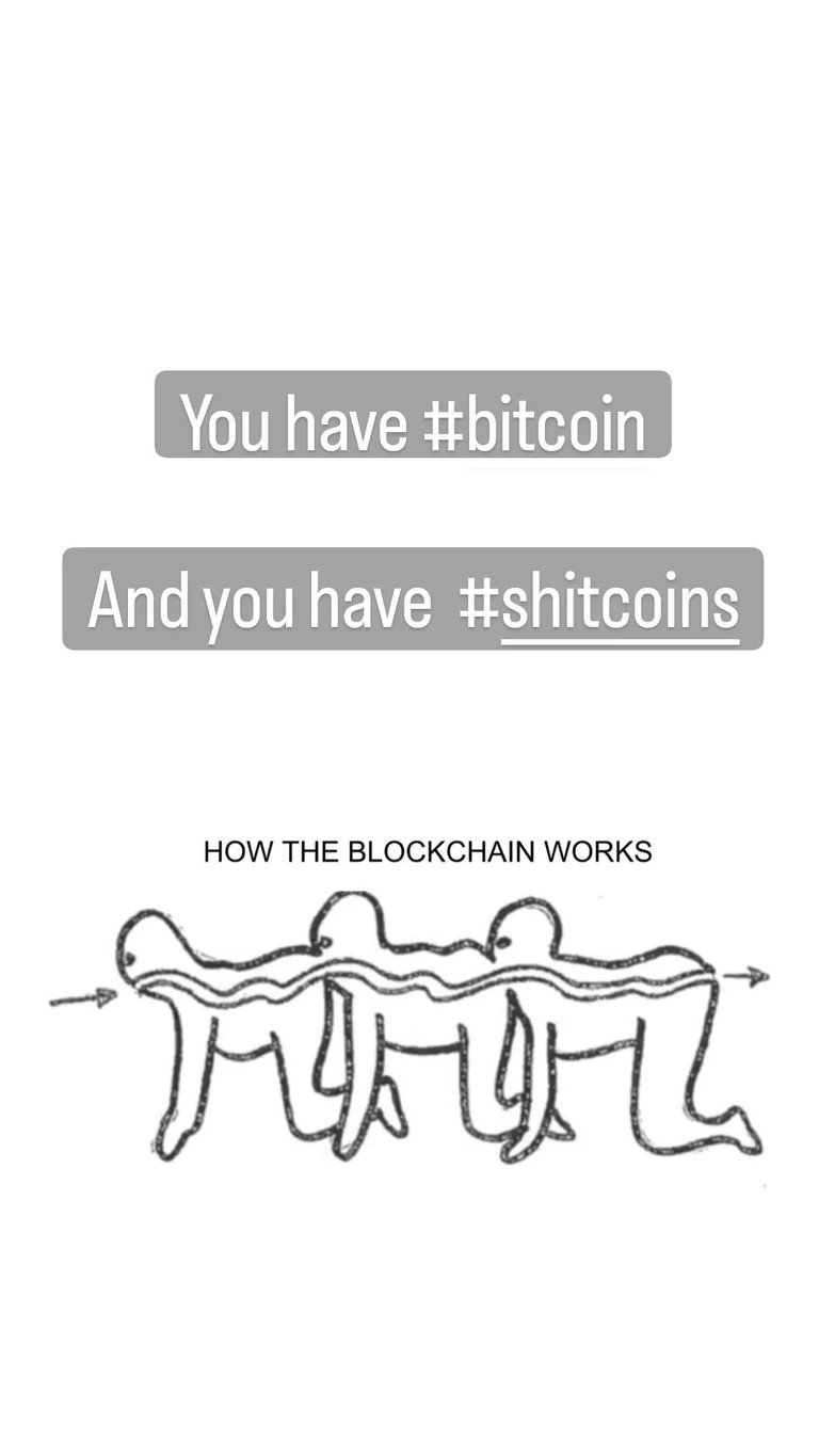#342 Bitcoin Graphic