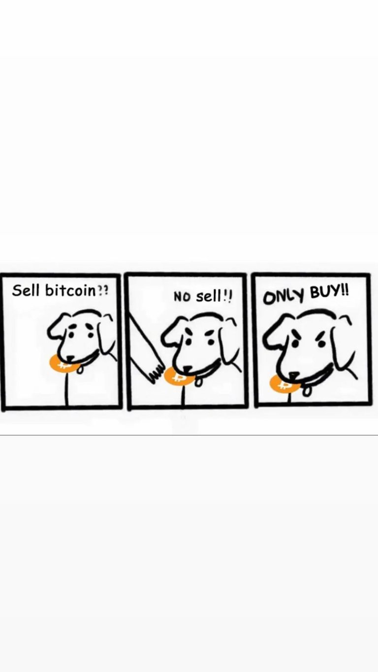 #638 Bitcoin Graphic