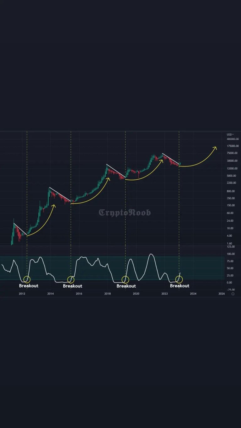 #1216 Bitcoin Graphic