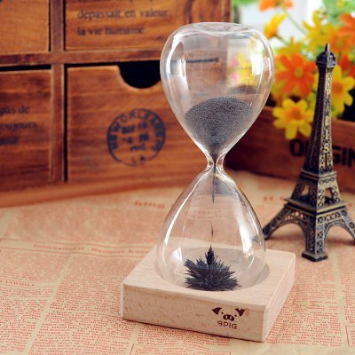 Gearbest Magnet Flower Bloom Hourglass IQ Training Beautiful Decoration Toy