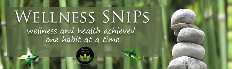 Wellness SNiPs Footer