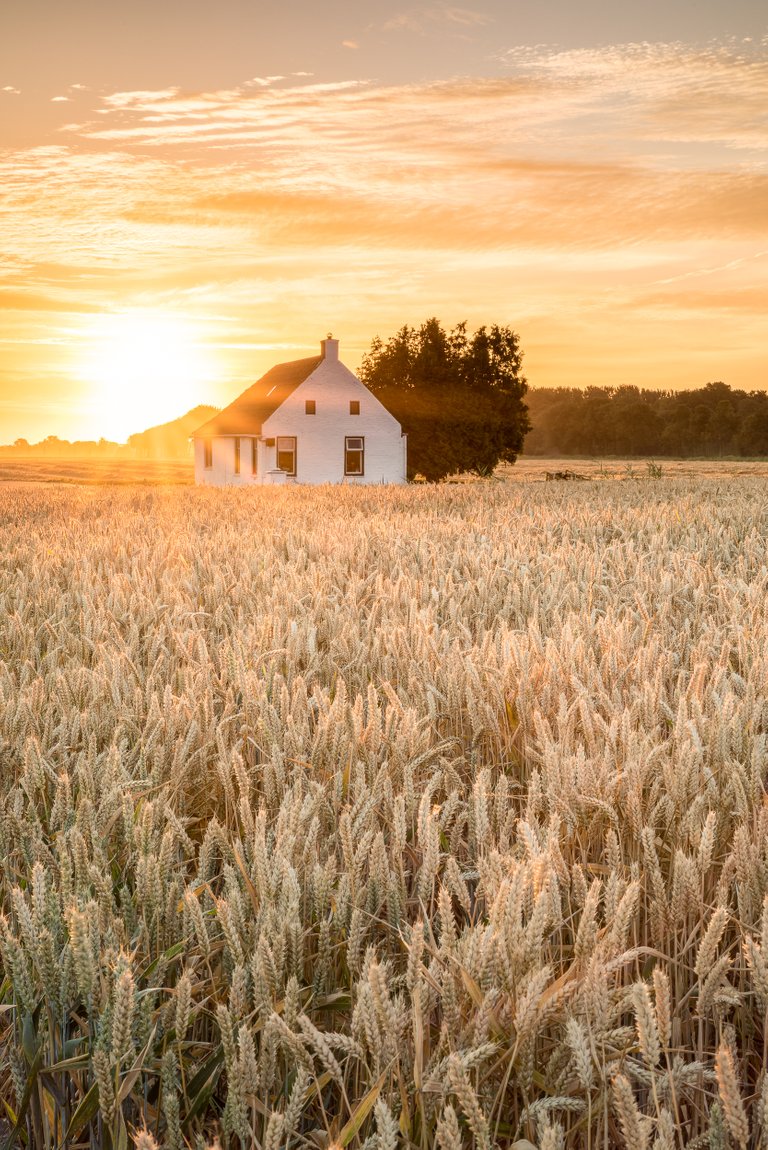 In order to get both the house and the wheat in focus, I used a technique called focus tacking, in which you stack multiple images with a different focus to get a image that has sharpness all the way through. Tamron SP 24-70 F/2.8 @ 61 mm | F/18 | 1/6 Sec | ISO 100 with a NiSi Hard Edge GND8.