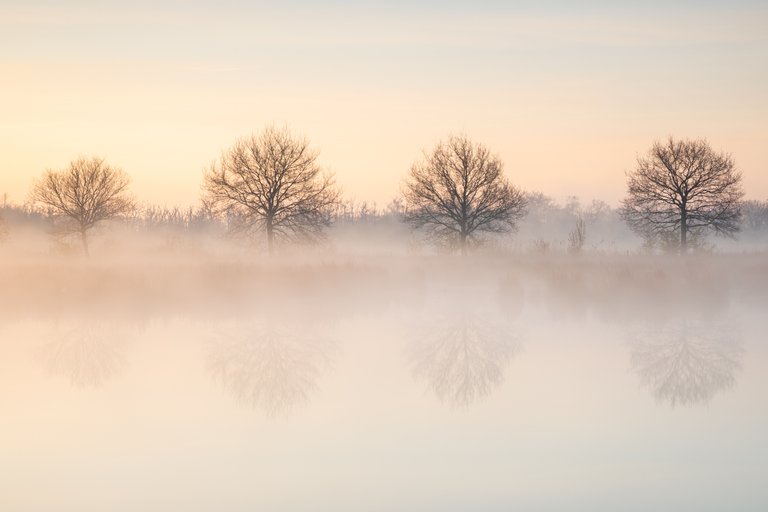 Watermanagement and nature can go hand in hand!