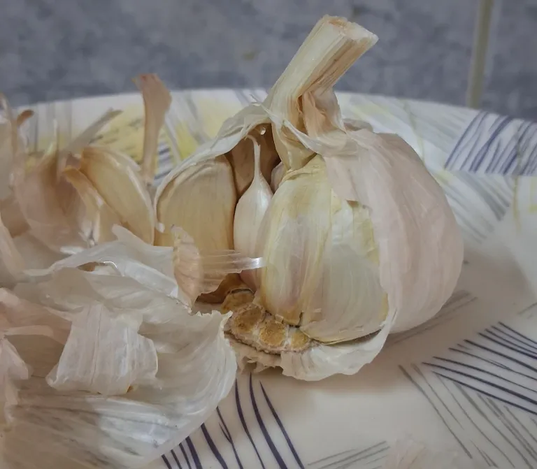 5df77e08-f4a0-4d0d-b390-6a29518bff4b