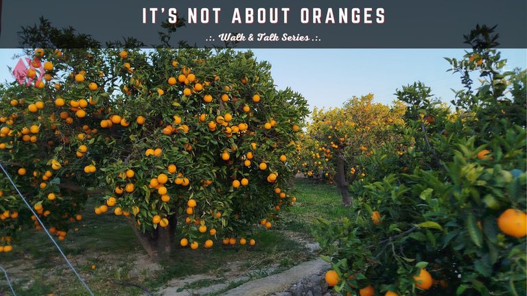 It's Not About Oranges... .:. Walk & Talk Series
