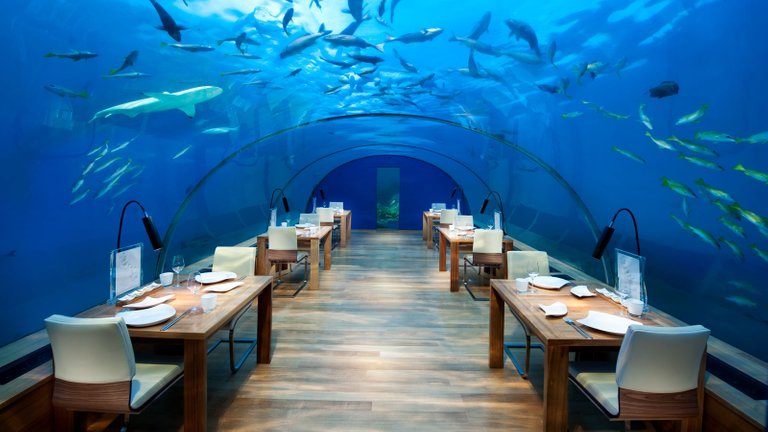 180419102833-conrad-maldives-ithaa-undersea-restaurant-high.jpg