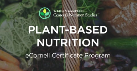 ecornell certificate program.jpg